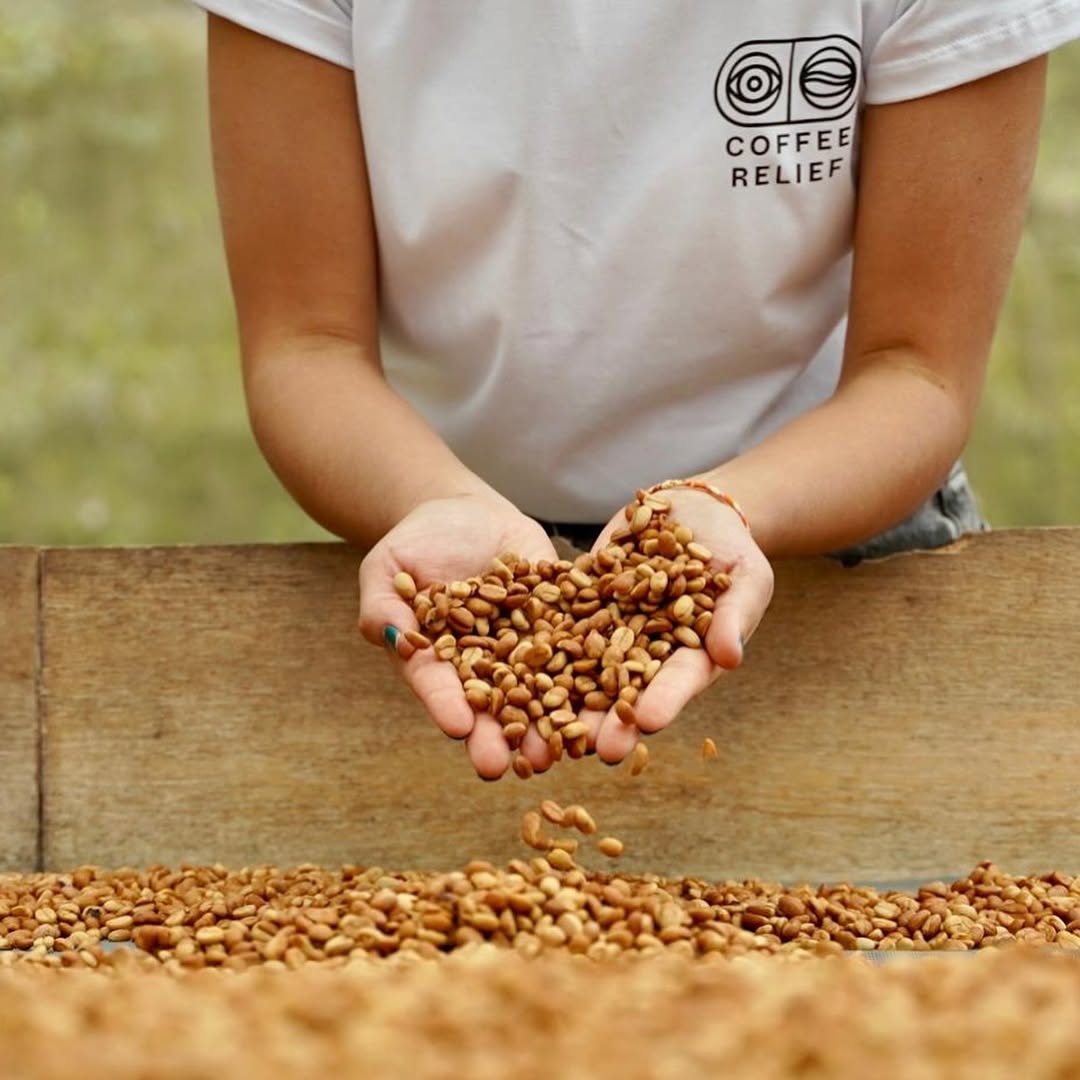 Pure Over X Coffee Relief: Immersive Roast